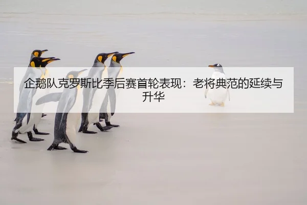 企鹅队克罗斯比季后赛首轮表现：老将典范的延续与升华